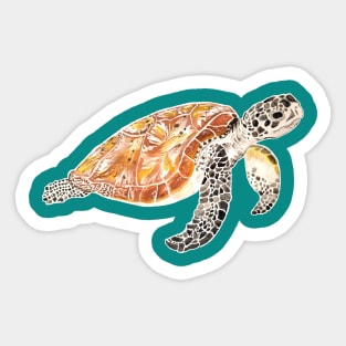 Sea Turtle Watercolor Sticker